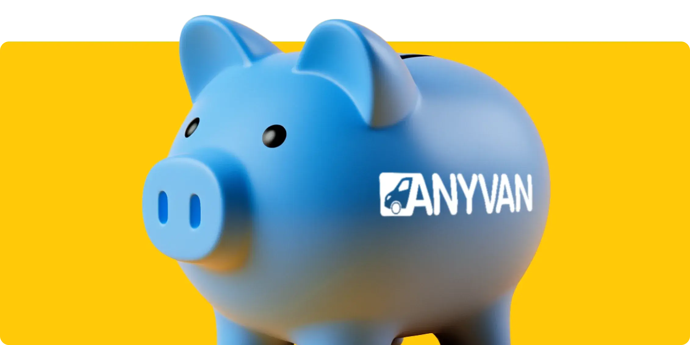 Piggy bank illustrating savings for removal services